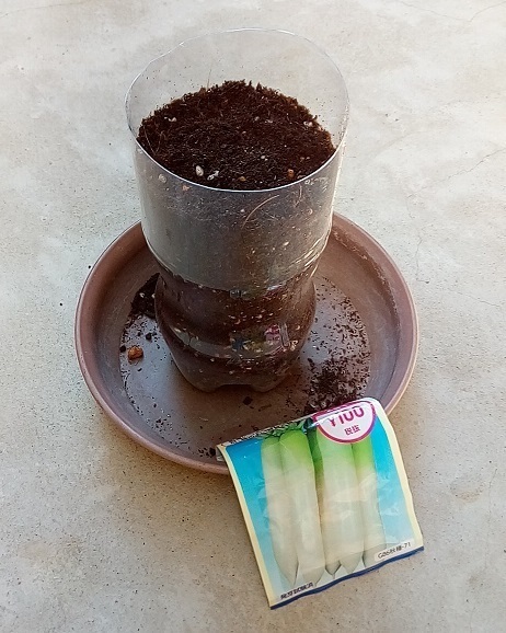 p6.jpg